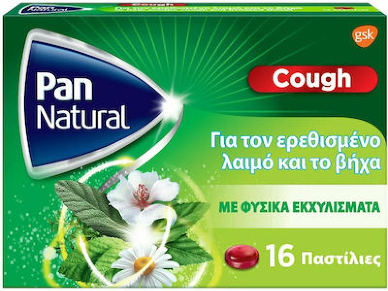 GSK Pan Natural Παστίλιες με Φυσικά Εκχυλίσματα 16τμχ Βατόμουρο